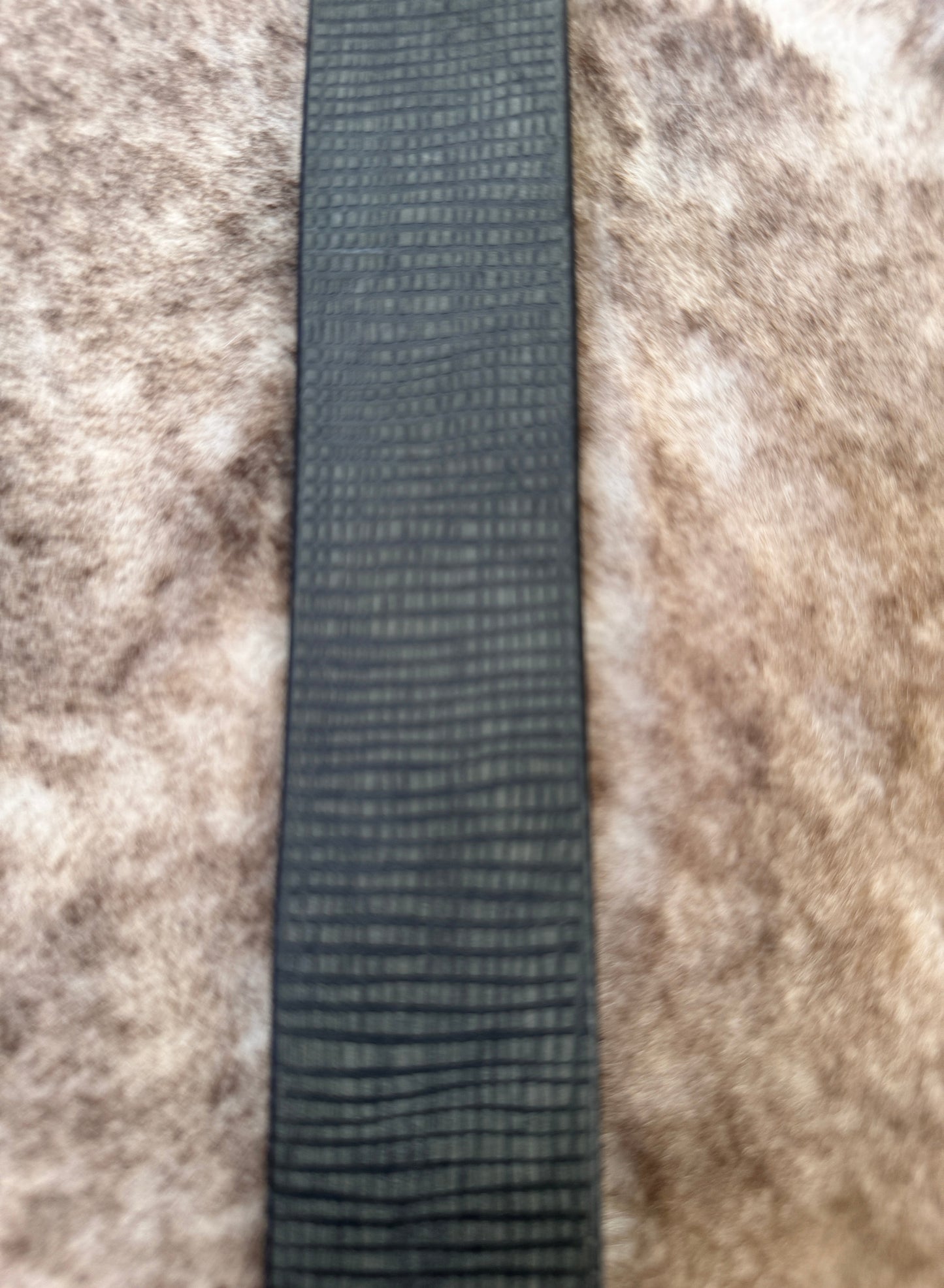 Belt B10