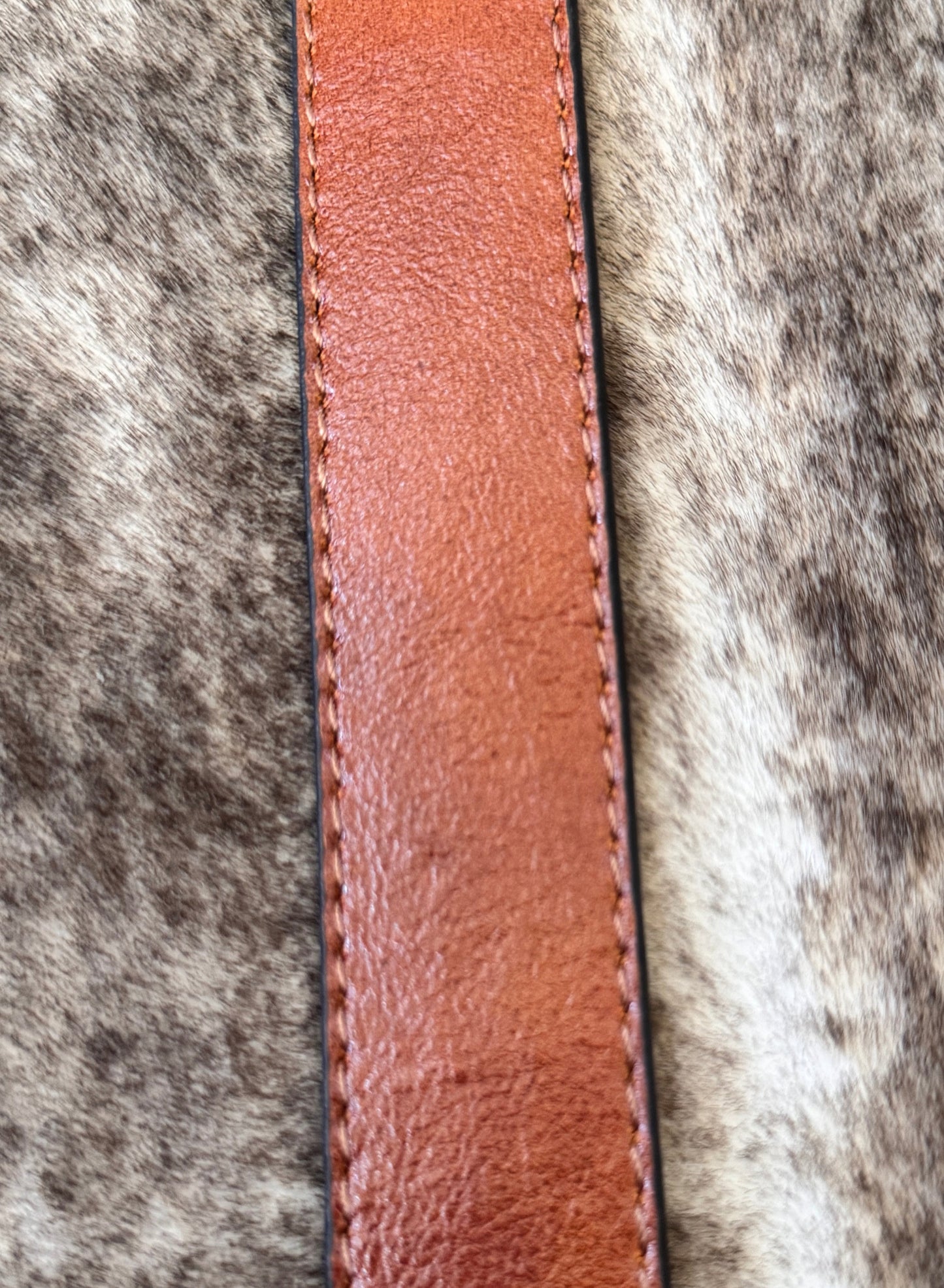 Belt B8
