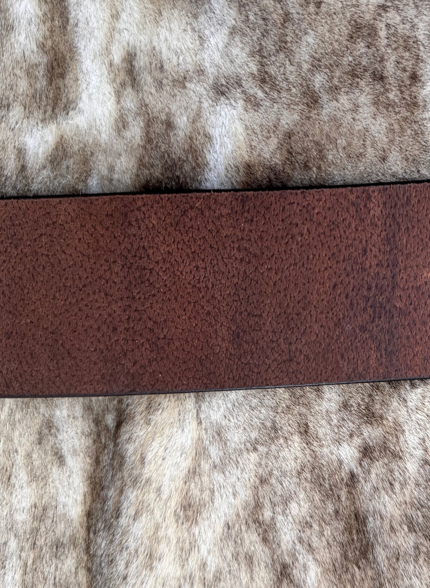 Belt B1