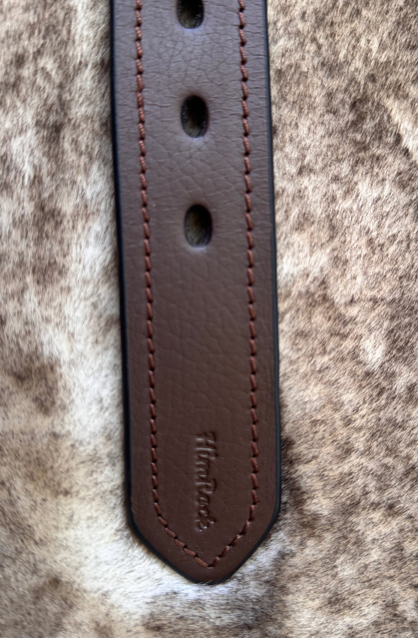 Belt B6