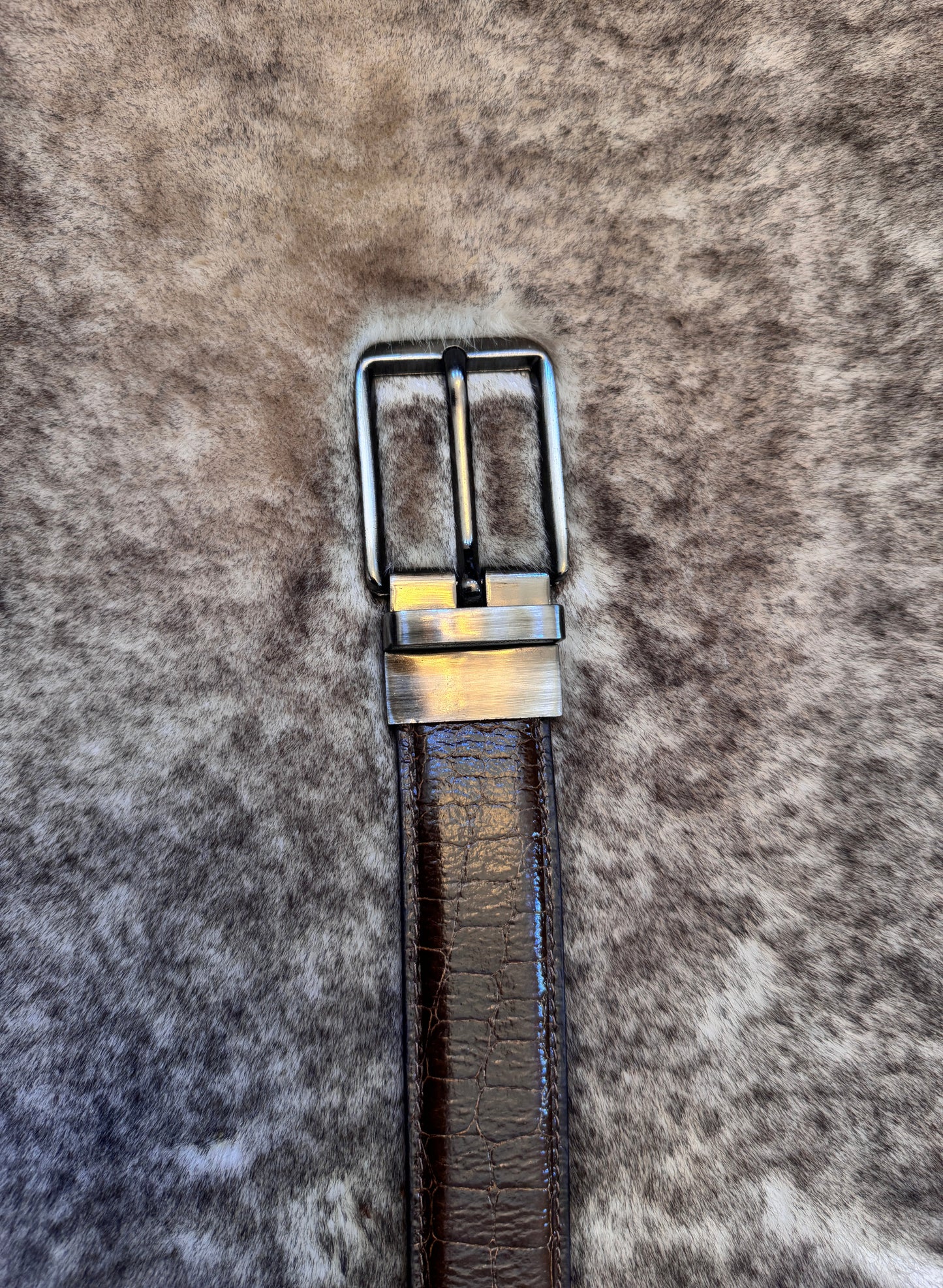 Belt B19