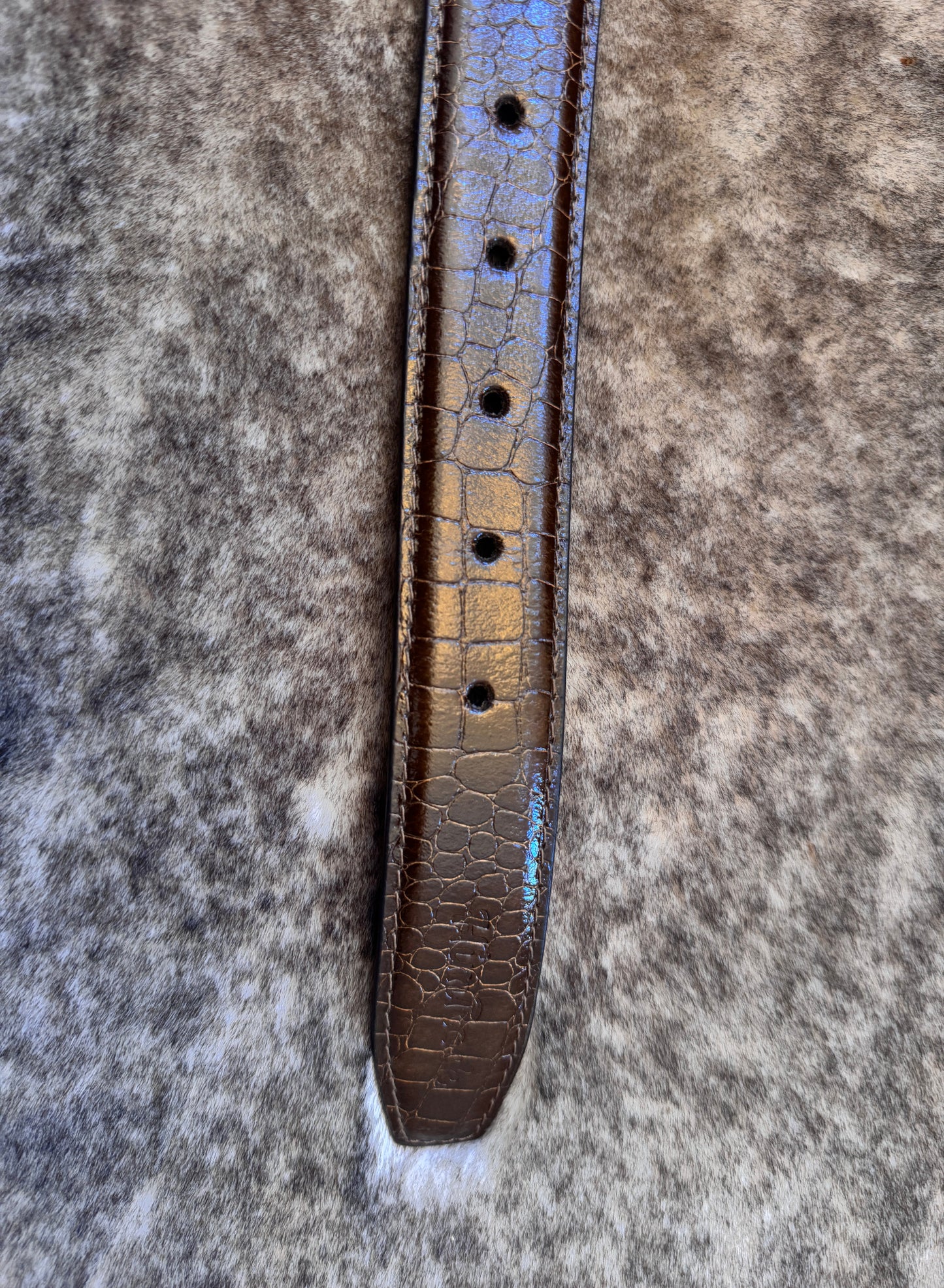 Belt B19