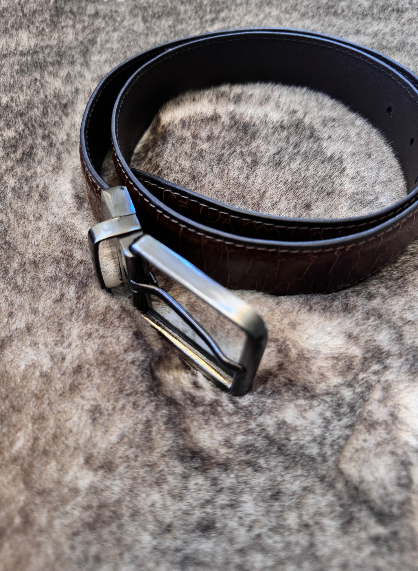 Belt B19