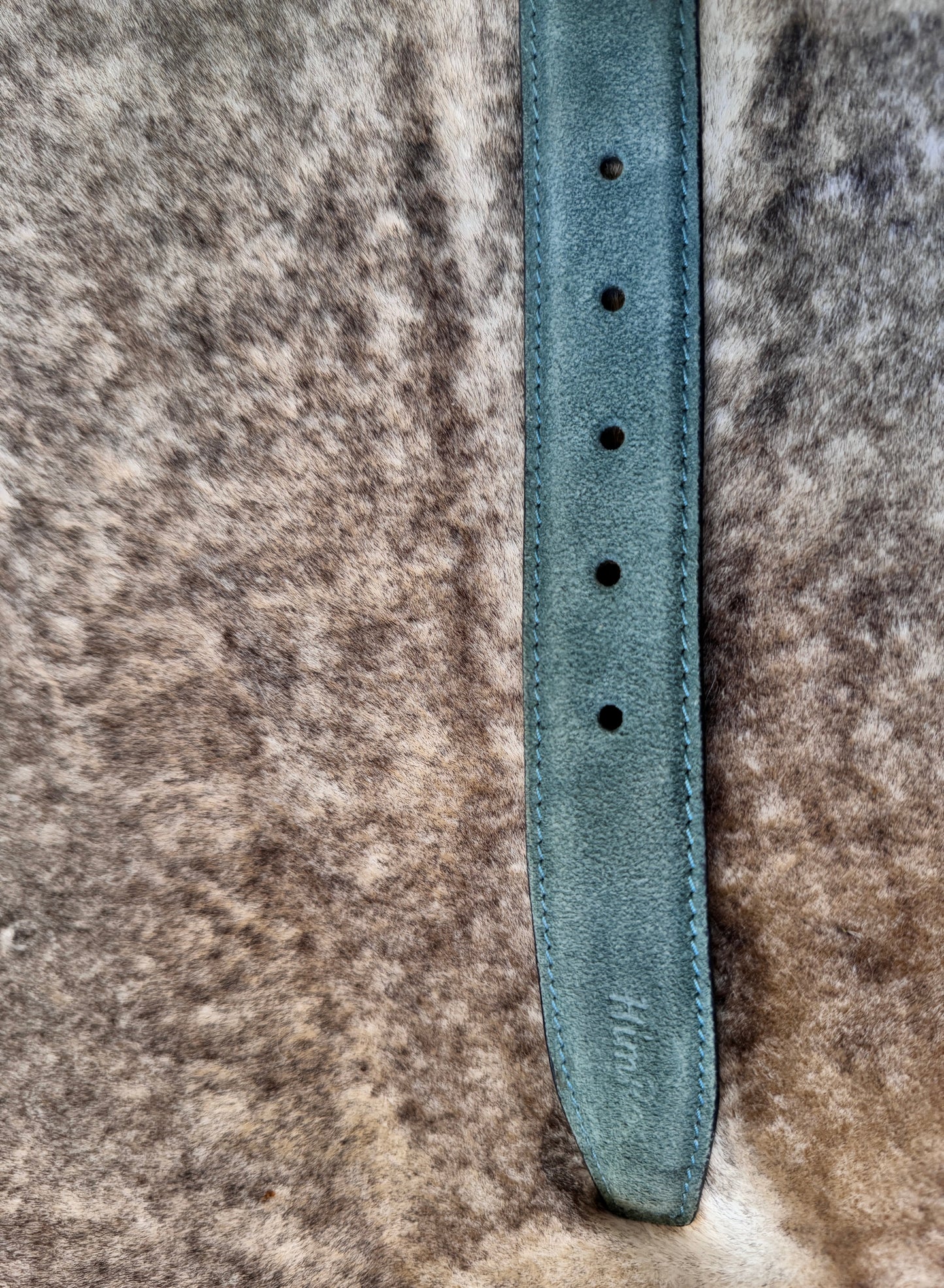 Belt B15
