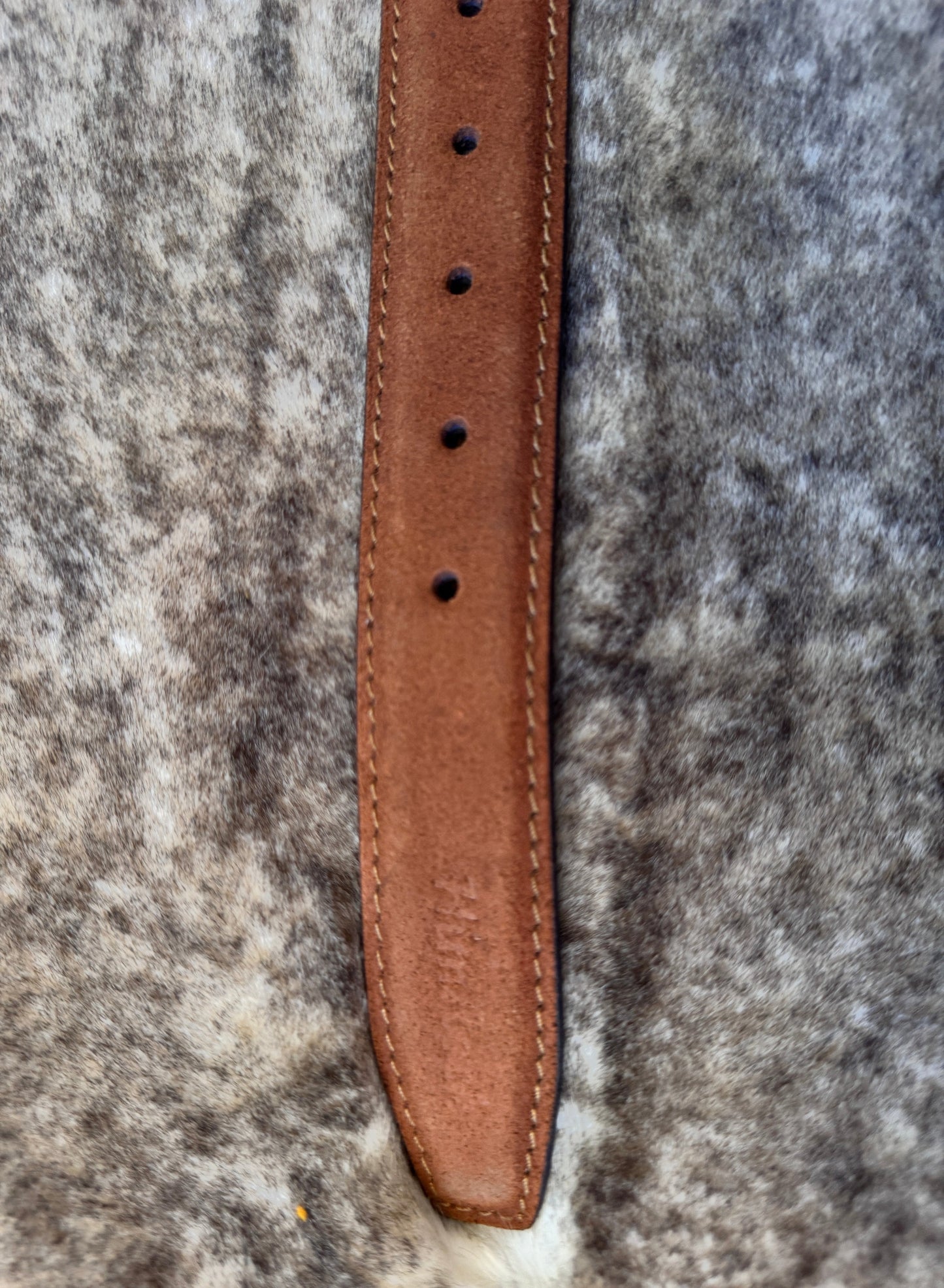Belt B17