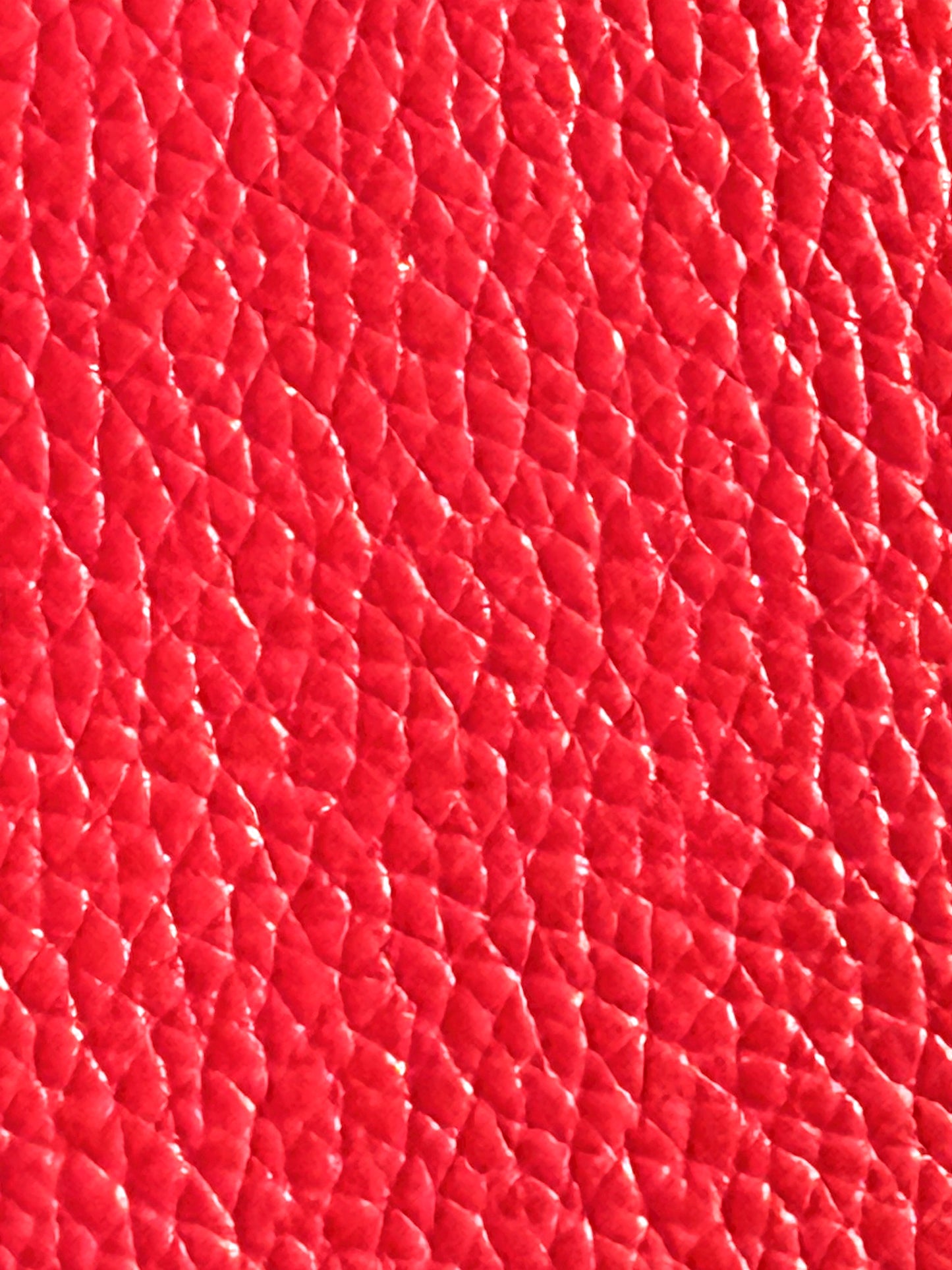 Red Hand Bag